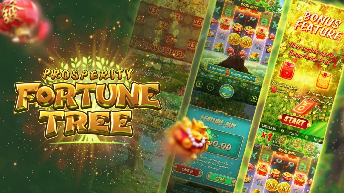 Casino Plus - Which Player Type Enjoys Prosperity Fortune Tree PG Most On Casino Plus?