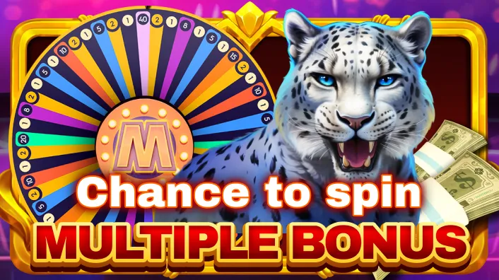 Casino Plus - Where Should Beginners Start with these 3 Best Pragmatic Play Slots on Casino Plus?