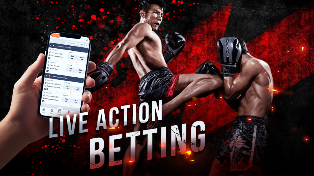 Casino Plus - MMA Betting Tips: How Do Case Study Bets at Casino Plus Expose Underrated Fighters?